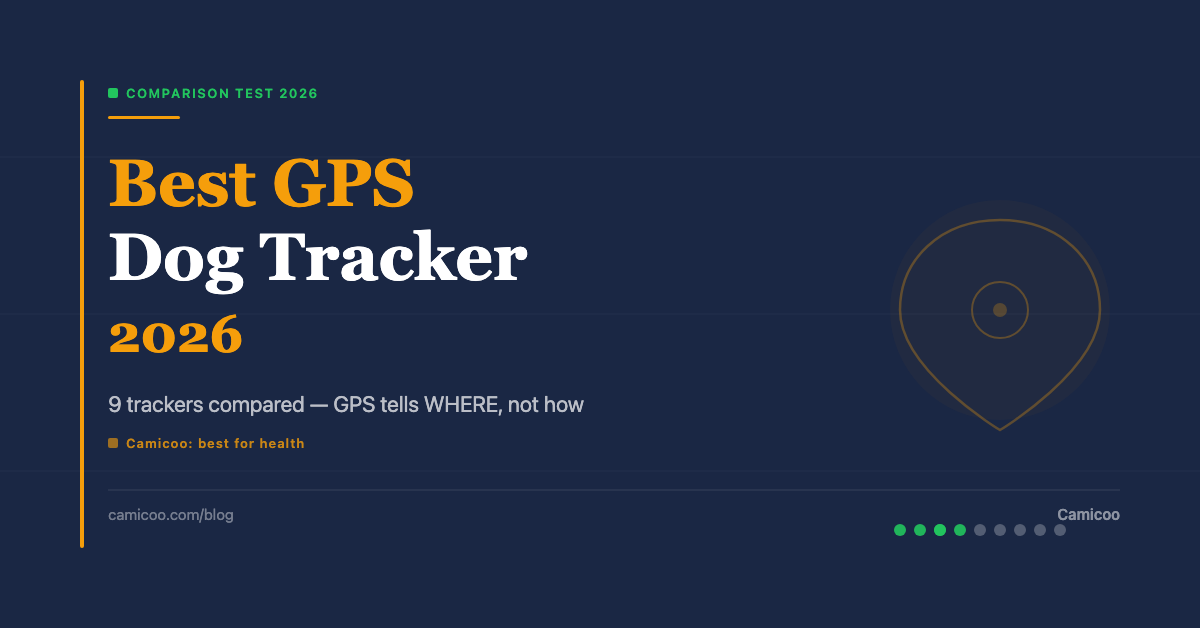 Best GPS Dog Tracker 2026 — 9 Trackers Honestly Compared | Camicoo