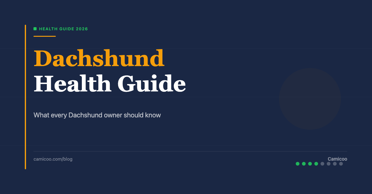 Breed OG EN - Dachshund Health Guide