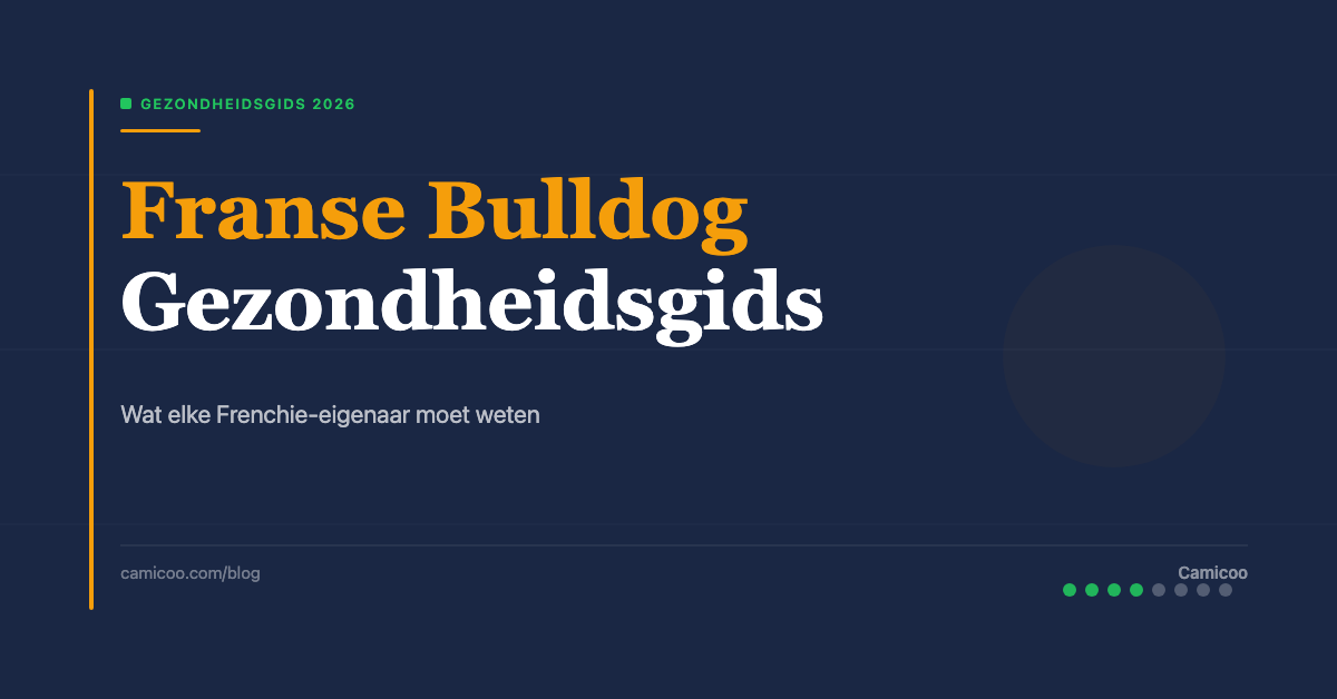 Breed OG - Og French Bulldog