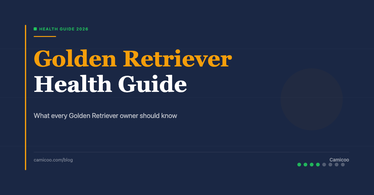 Breed OG EN - Golden Retriever Health Guide