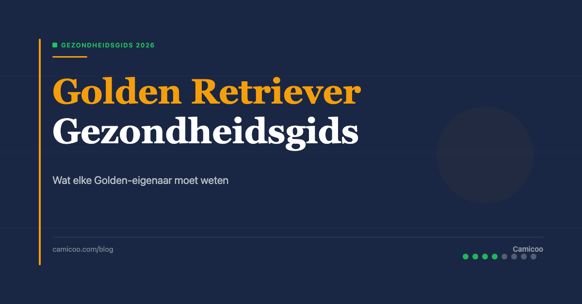 Breed OG - Og Golden Retriever