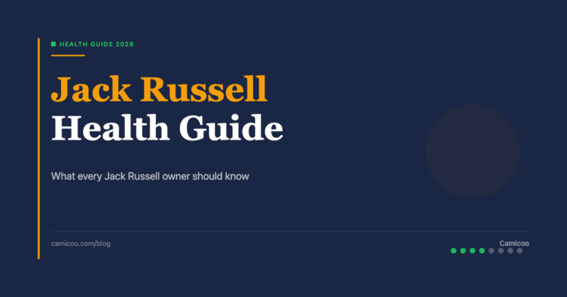 Breed OG EN - Jack Russell Health Guide