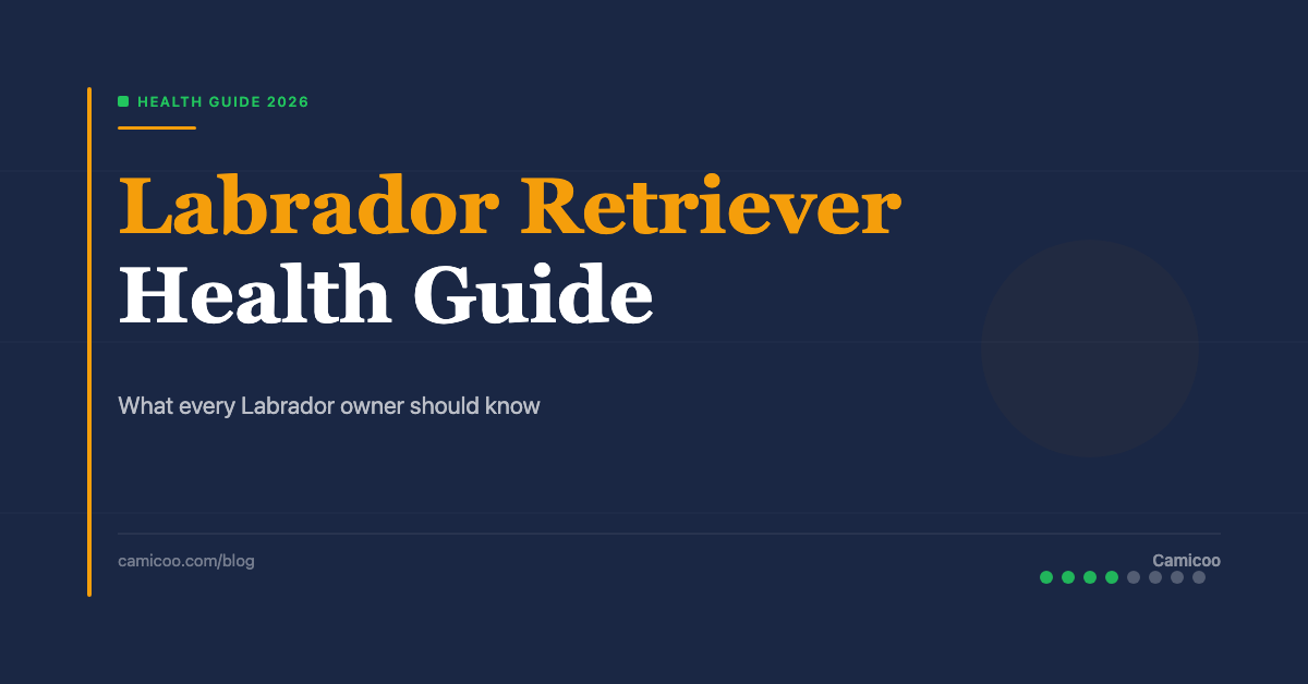Breed OG EN - Labrador Retriever Health Guide