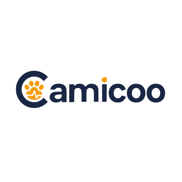 camicoo-logo-color.png